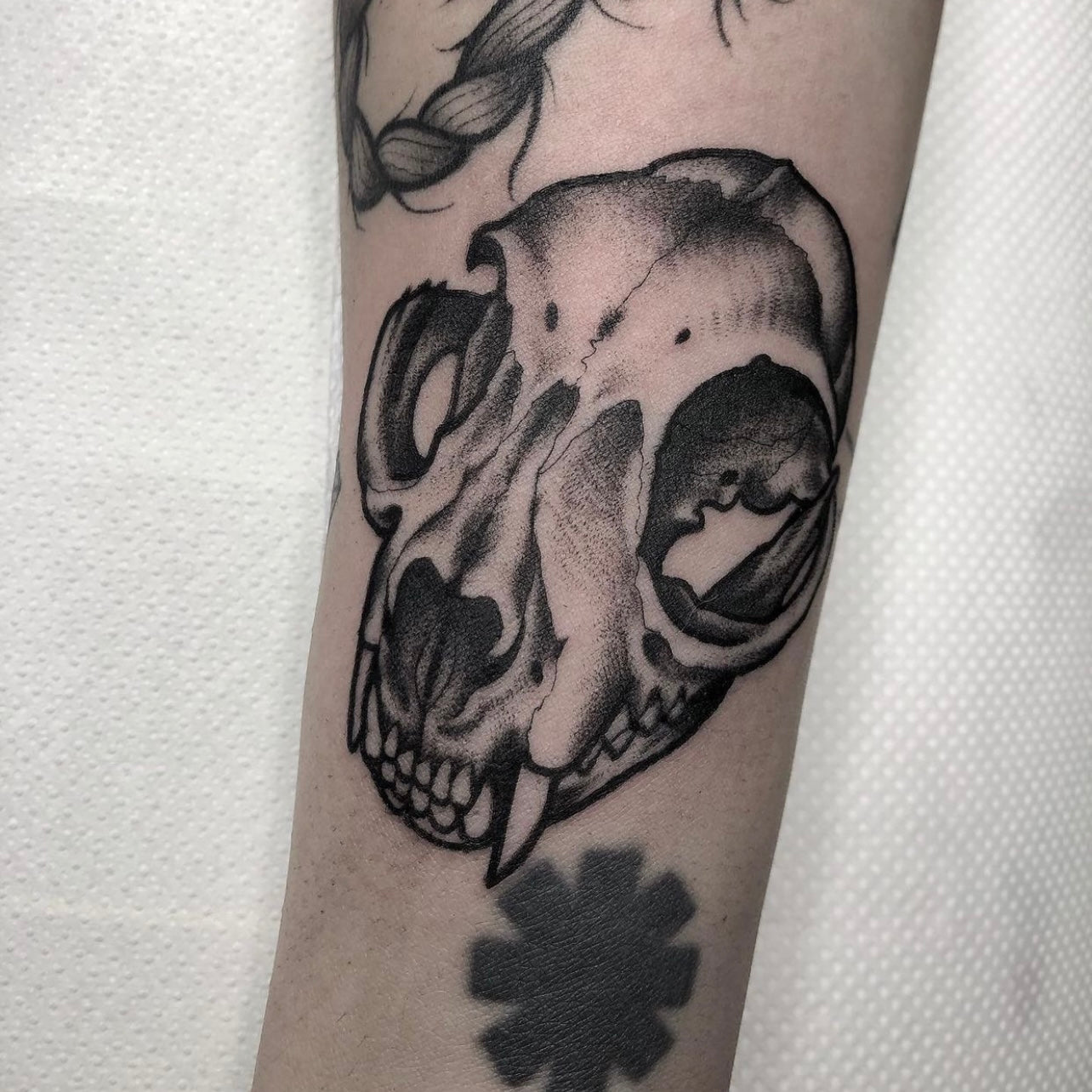 tatuaggio teschio in nero e grigio eseguito da deborah ferranti