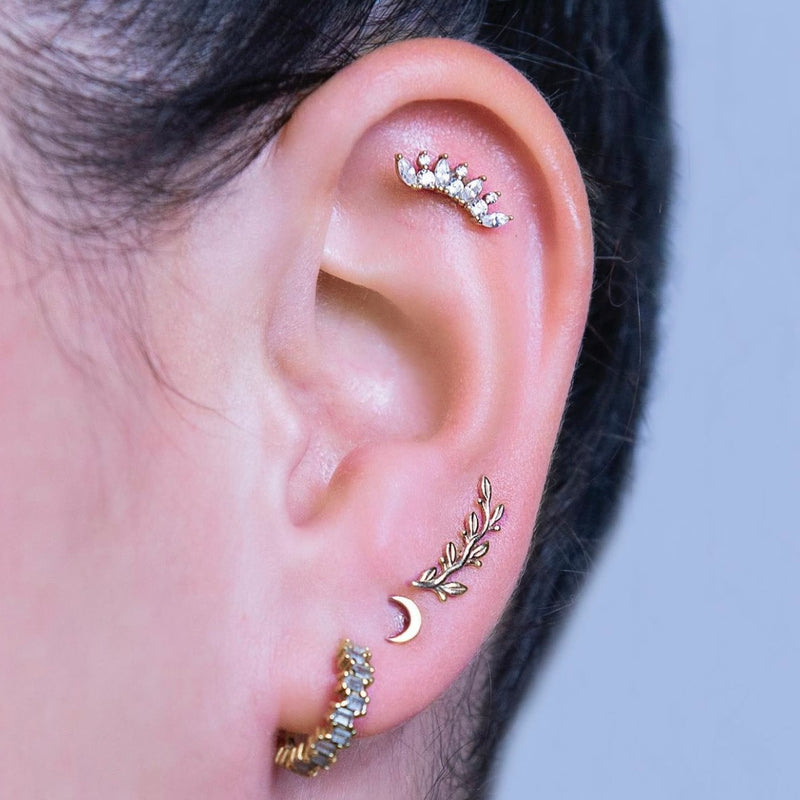 foto di composizione orecchio con piercing gioiello